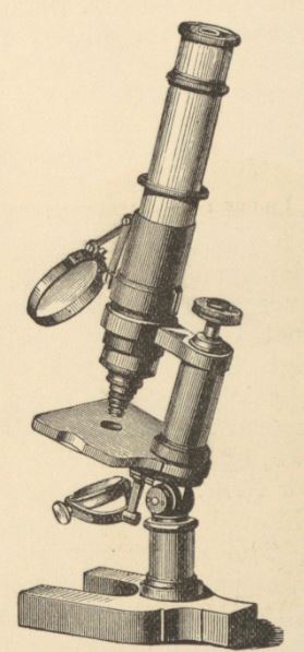 microscope
