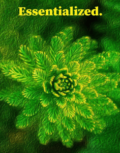 Essentialized by Psoid Froid
fullfilment
reviewed by jeffrey hatcher